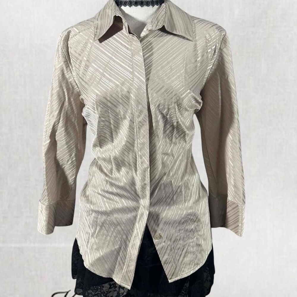 Office Siren Sheer Long Sleeve Button Up Shimmer Top